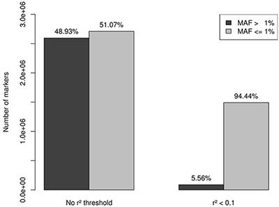 Exploring Impact of Rare Variation in Systemic Lupus Erythematosus by a Genome Wide Imputation Approach